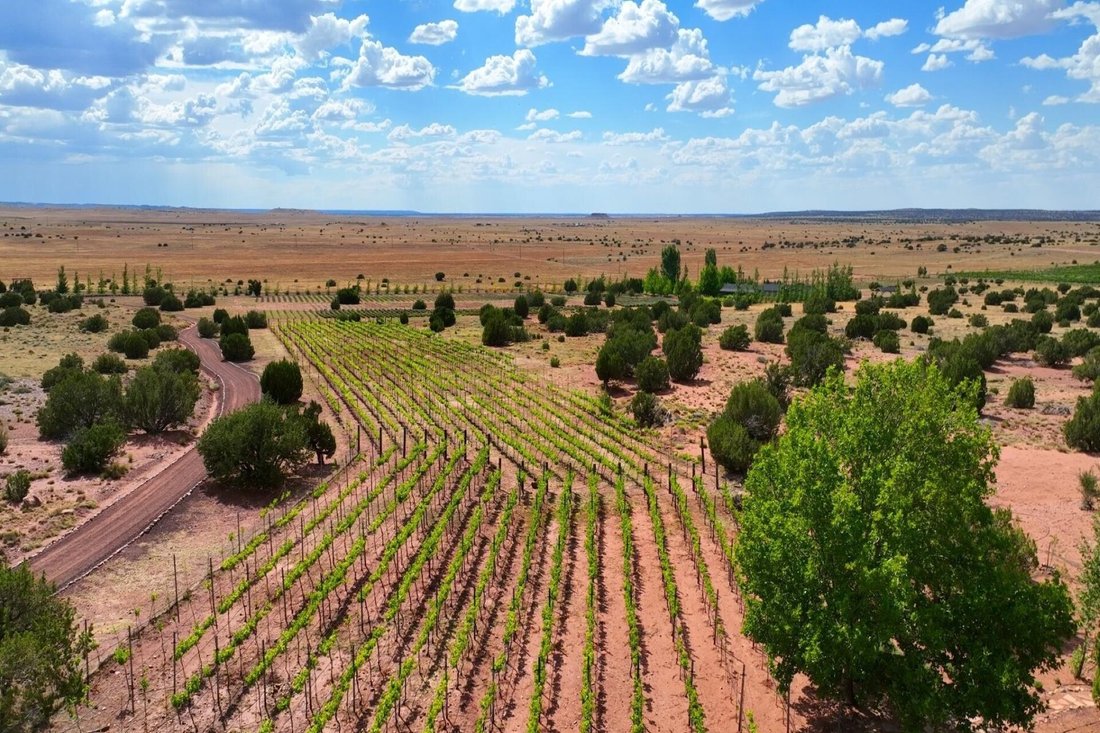 House in Concho, Arizona, United States 2 - 15200208
