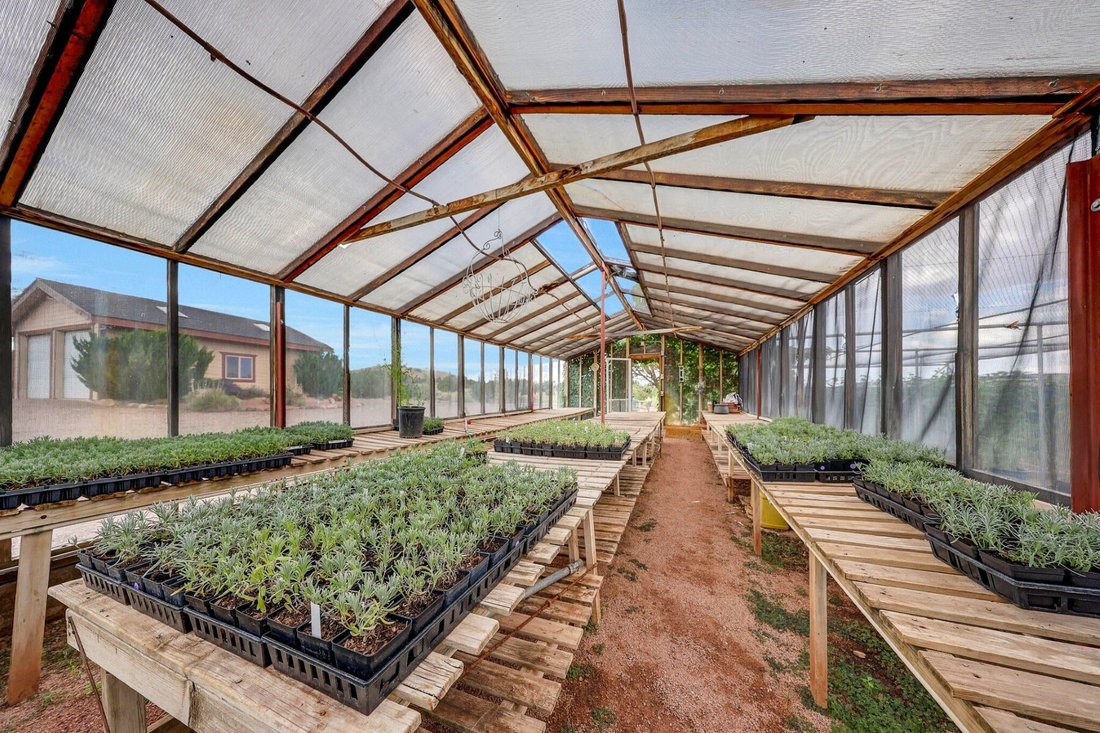 House in Concho, Arizona, United States 4 - 15200208