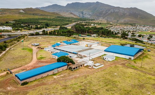 Farm Ranch in Bot River, Western Cape, South Africa 1