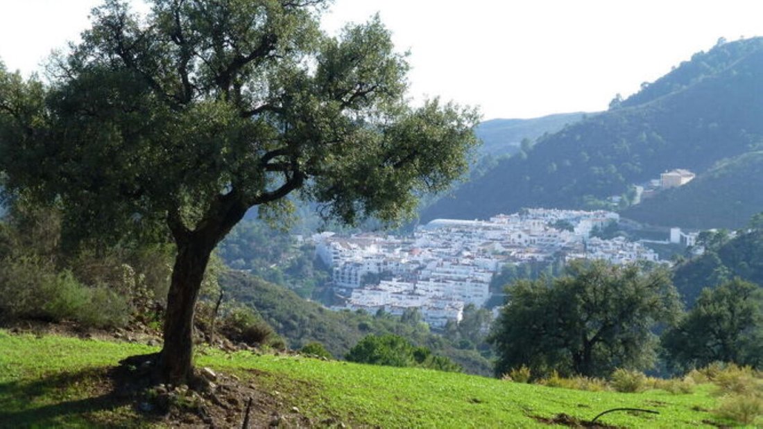 Land in Benahavis, Andalusia, Spain 3 - 15202641