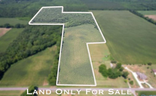 Land in New Hope, Alabama, United States 1