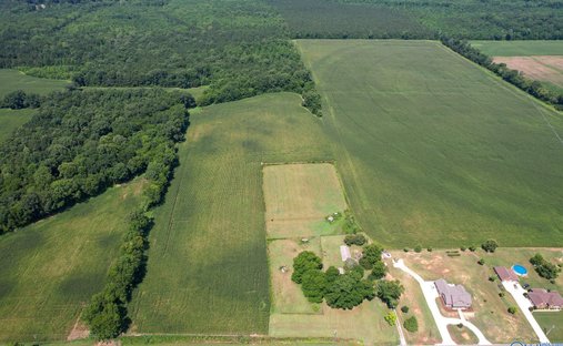 Land in New Hope, Alabama, United States 1