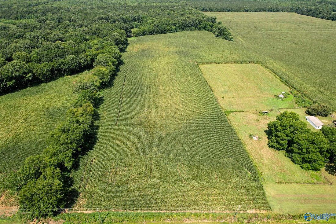 Land in New Hope, Alabama, Vereinigte Staaten 3 - 15201870