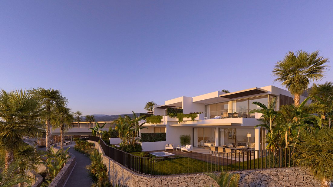 Apartment in Guia de Isora, Canary Islands, Spain 3 - 15202060