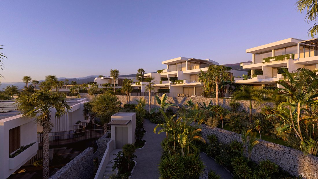 Apartment in Guia de Isora, Canary Islands, Spain 2 - 15202060