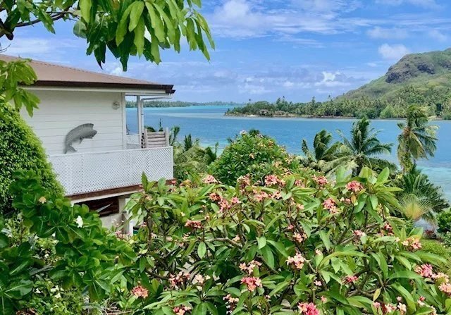 House in Huahine, Leeward Islands, French Polynesia 5 - 15204044