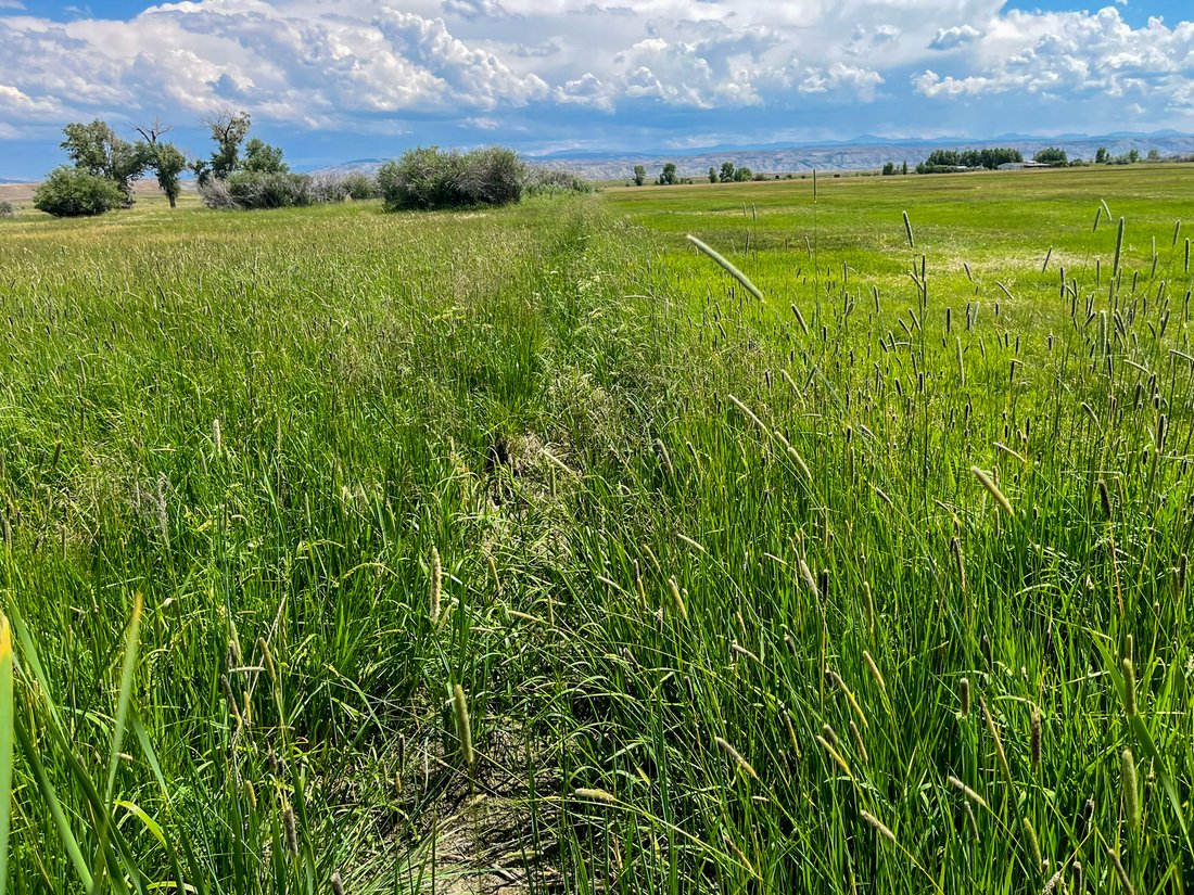 Farm Ranch in Fort Bridger, Wyoming, United States 2 - 15205261