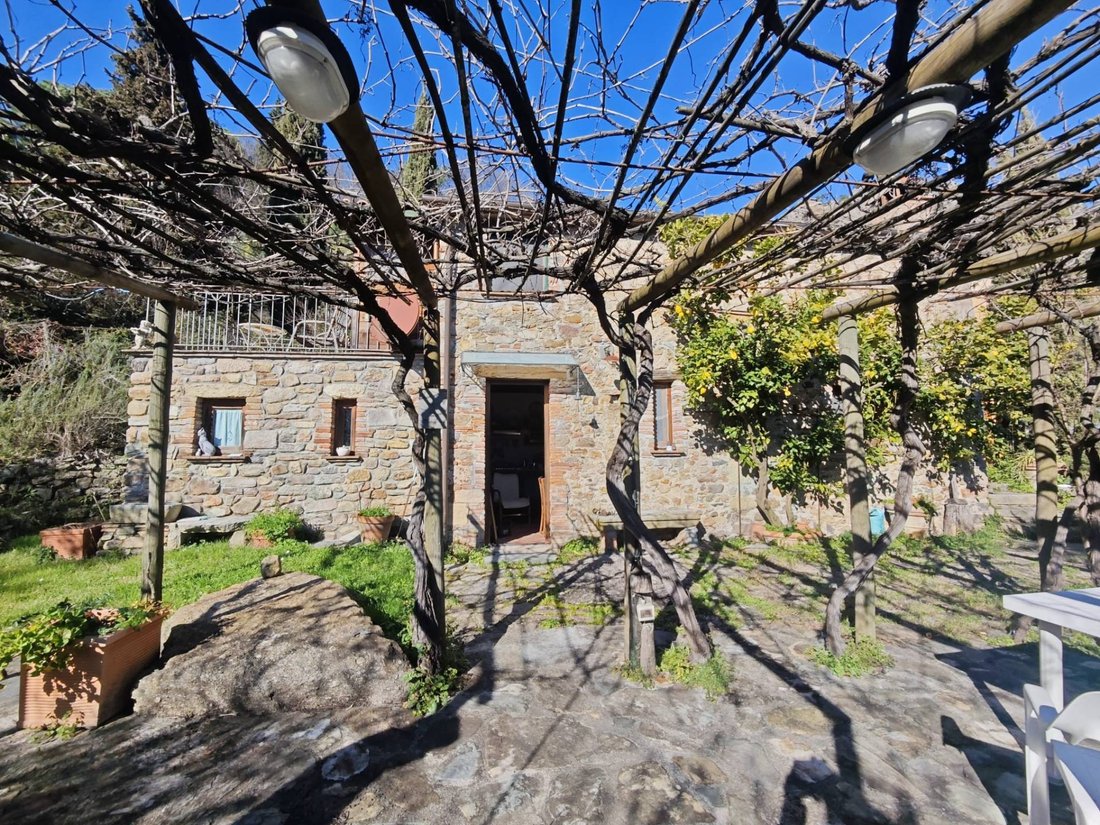 Casa di campagna a Buti, Toscana, Italia 5 - 14834421