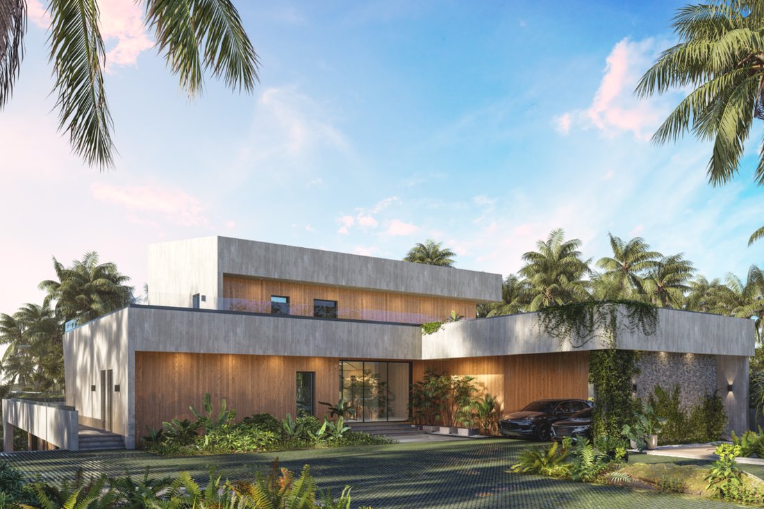 Villa in Punta Cana, La Altagracia Province, Dominican Republic 3 - 15205518