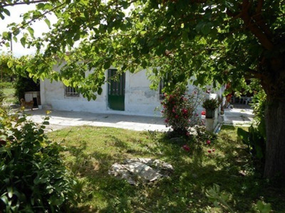 Terreno en Paralias, Paralia, Grecia 2 - 15206780