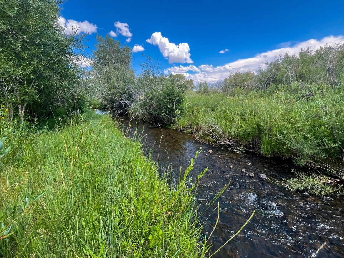 Farm Ranch in Fort Bridger, Wyoming, United States 4 - 15205261