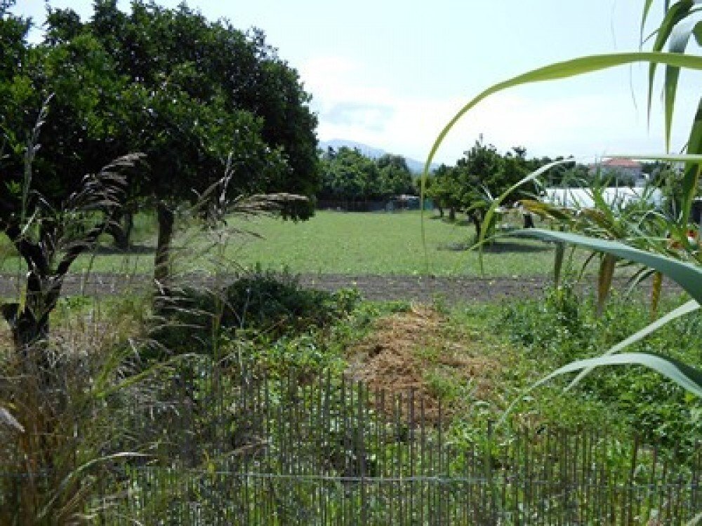 Terreno en Paralias, Paralia, Grecia 1 - 15206780