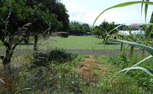 Land in Paralias, Paralia, Greece 1