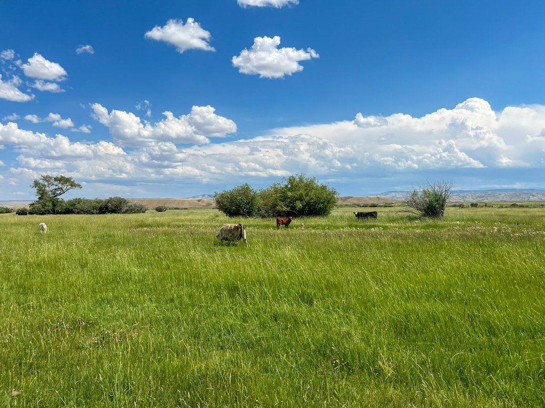 Farm Ranch in Fort Bridger, Wyoming, United States 3 - 15205261