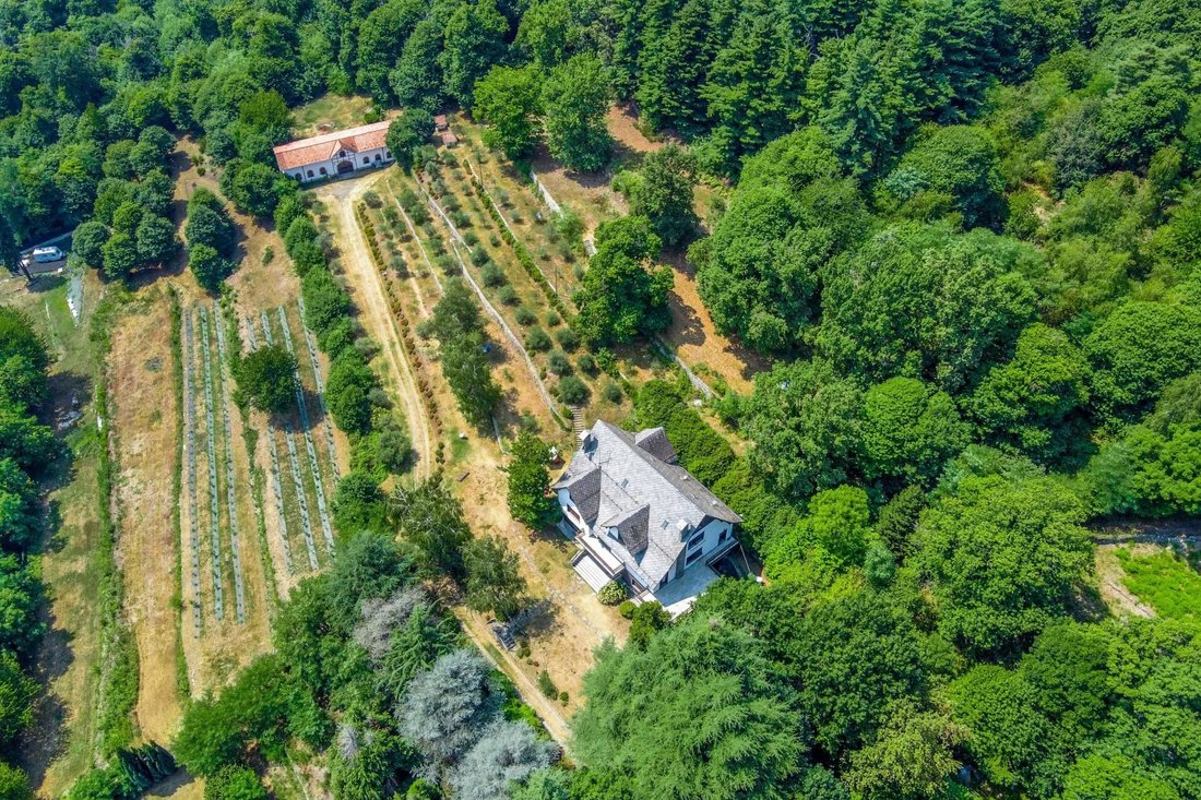 Villa in Arona, Piedmont, Italy 3 - 12088237