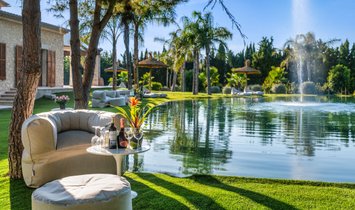 Farm Ranch in Montuiri, Balearic Islands, Spain 2