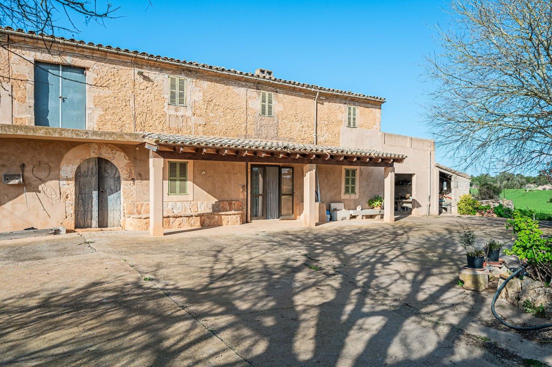 Farm Ranch in Felanitx, Balearic Islands, Spain 5 - 15205517