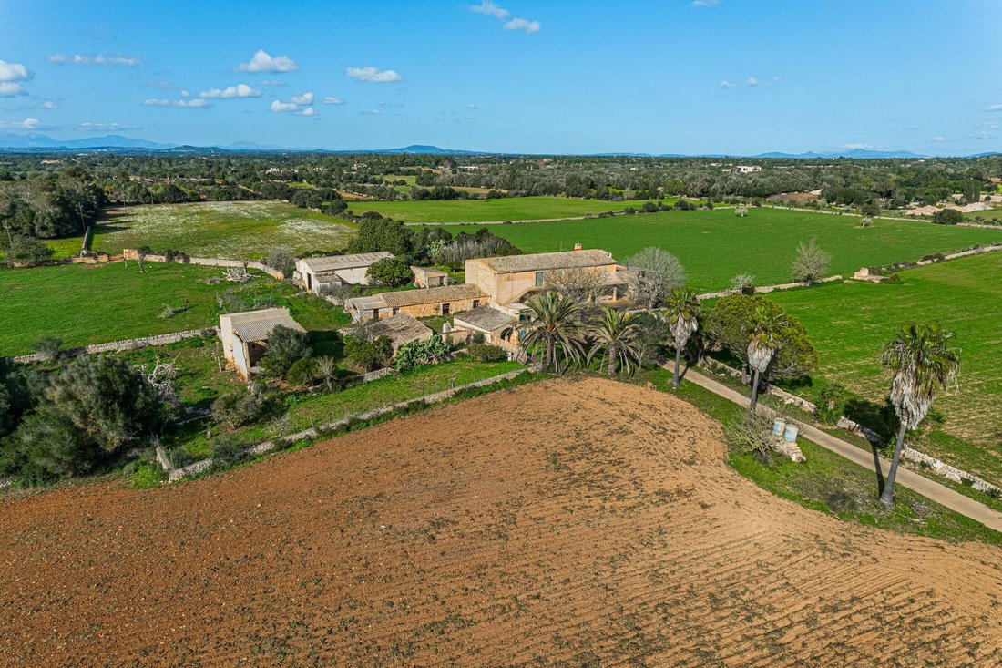 Farm Ranch in Felanitx, Balearic Islands, Spain 1 - 15205517