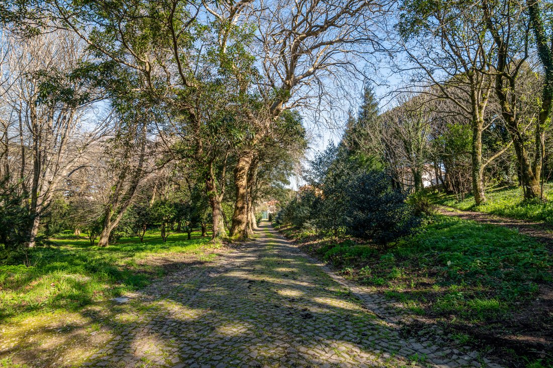 Anwesen in Sintra, Lissabon, Portugal 5 - 15209581