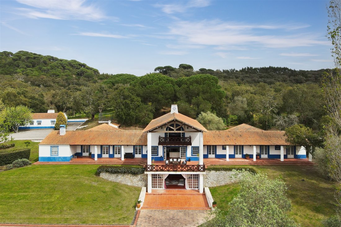 Farm Ranch in Santiago do Cacem, Santa Cruz e Sao Bartolomeu da Serra, Portugal 5 - 14603092