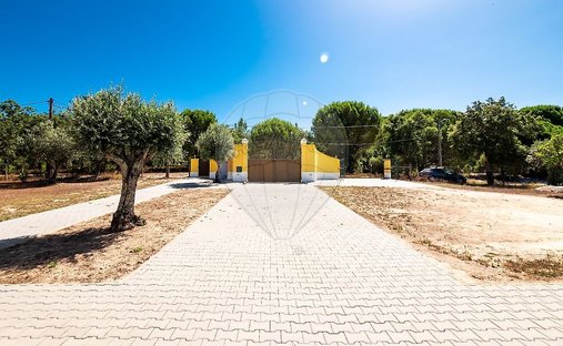 Casa a Branca, Distretto di Santarém, Portogallo 1