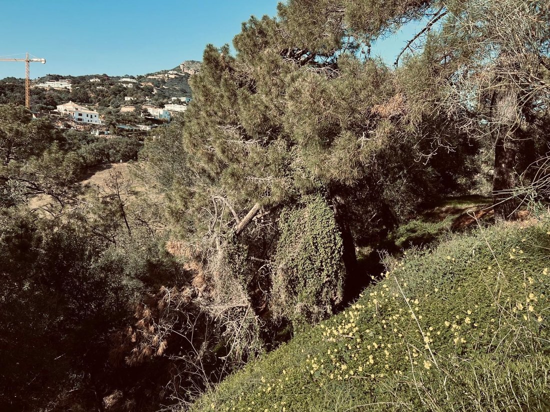 Land in Benahavis, Andalusia, Spain 5 - 15212029