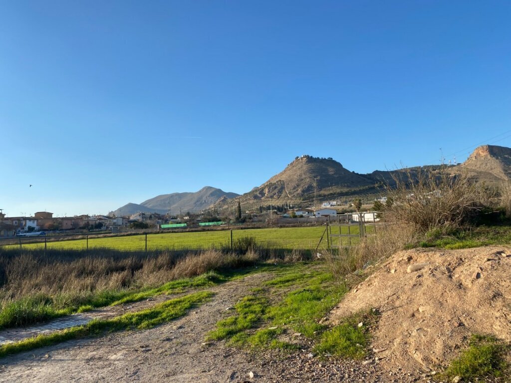 Land in Atarfe, Andalusia, Spain 4 - 15210172