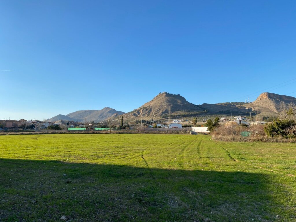 Land in Atarfe, Andalusia, Spain 1 - 15210172