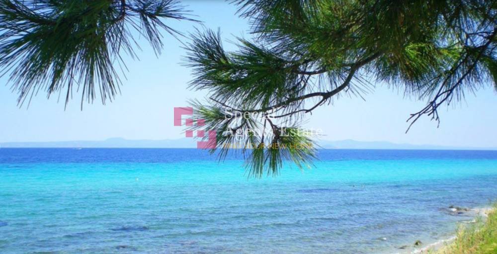 Land in Kassandra, Macedonia and Thrace, Greece 1 - 15210930
