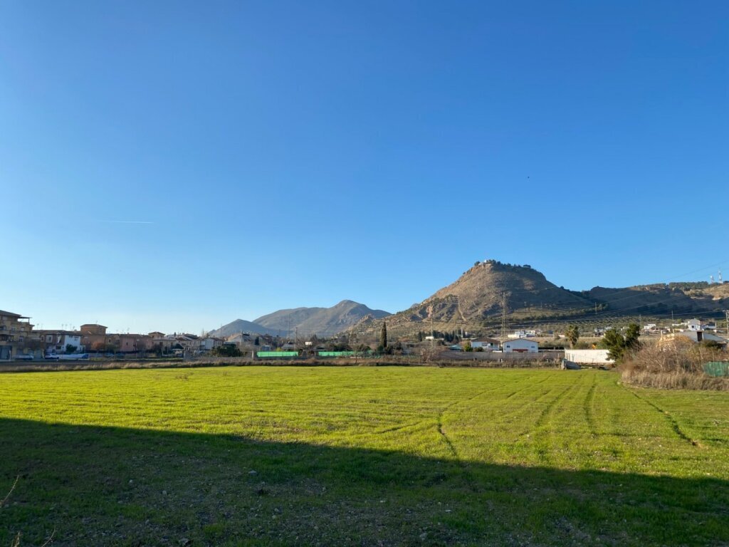 Land in Atarfe, Andalusia, Spain 2 - 15210172