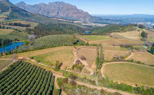 Farm Ranch in Stellenbosch, Western Cape, South Africa 1