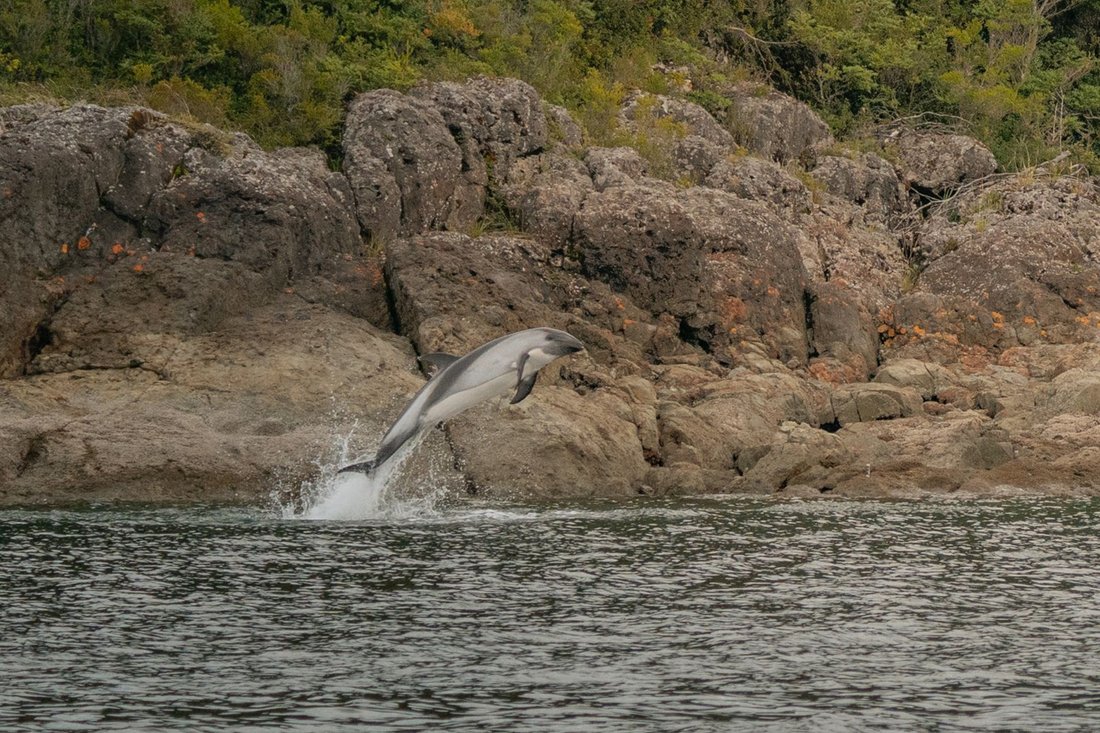 Isla García Is For Sale In Its Entirety. view 2