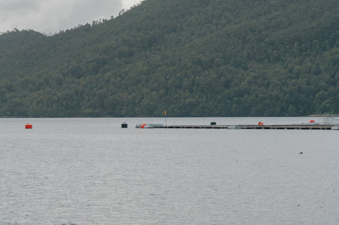 Isla García Is For Sale In Its Entirety. thumbnail 6