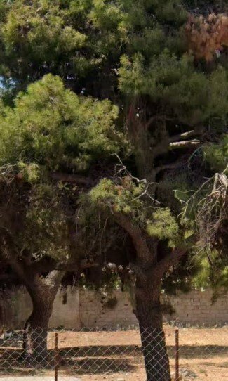 Land in Glyfada, Attica, Greece 2 - 15213108