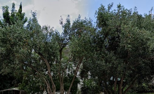 Land in Glyfada, Attika, Griechenland 1