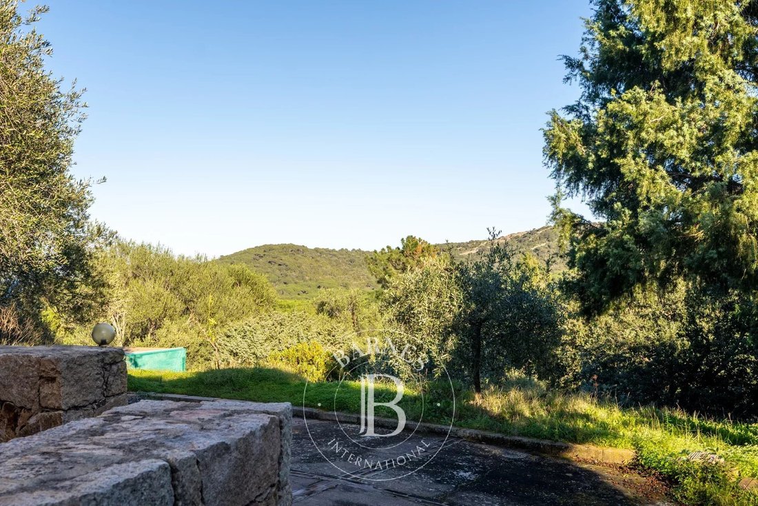Estate in Porto-Vecchio, Corsica, France 5 - 15214816