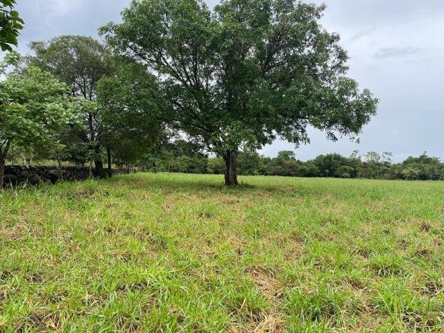 Land in Las Tablas, Los Santos Province, Panama 3 - 15216218