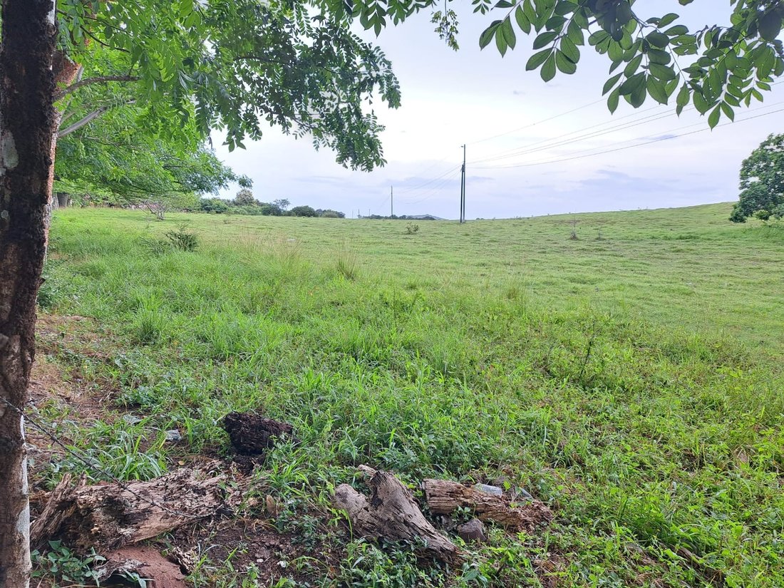 Land in Pesé, Herrera Province, Panama 4 - 15216206