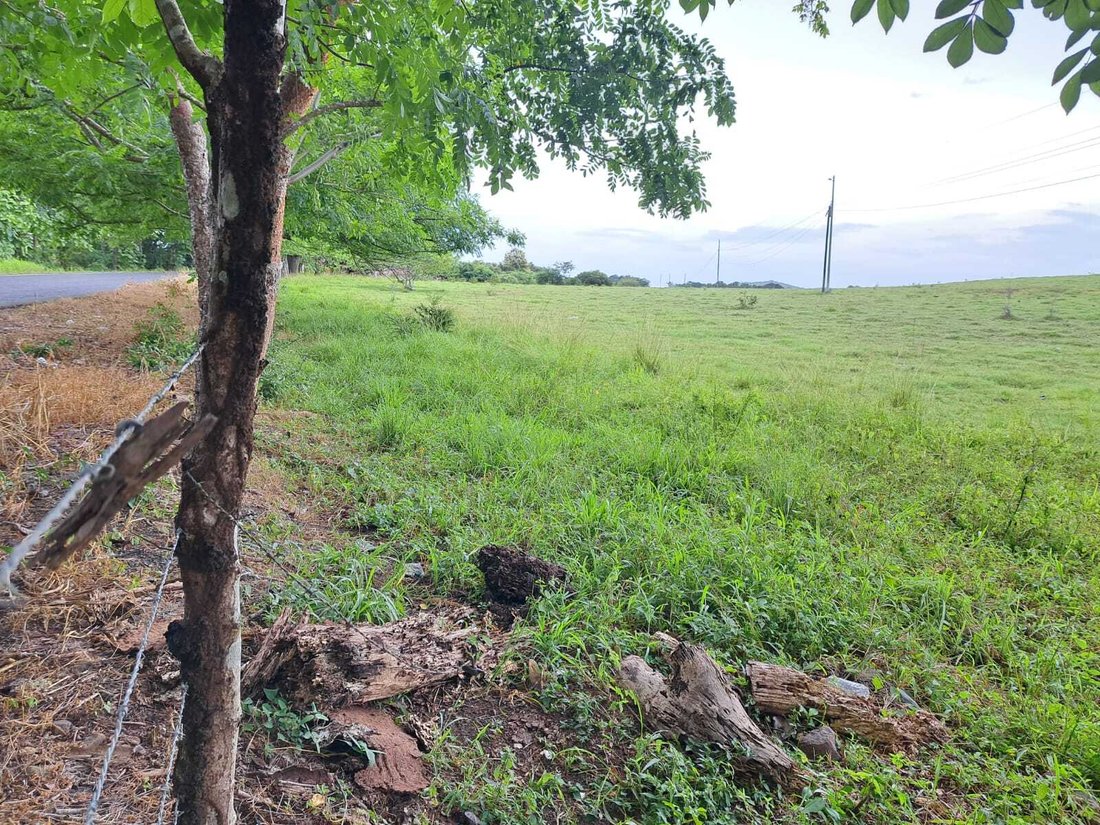 Land in Pesé, Herrera Province, Panama 1 - 15216206