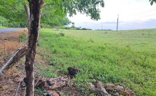Land in Pesé, Herrera Province, Panama 1