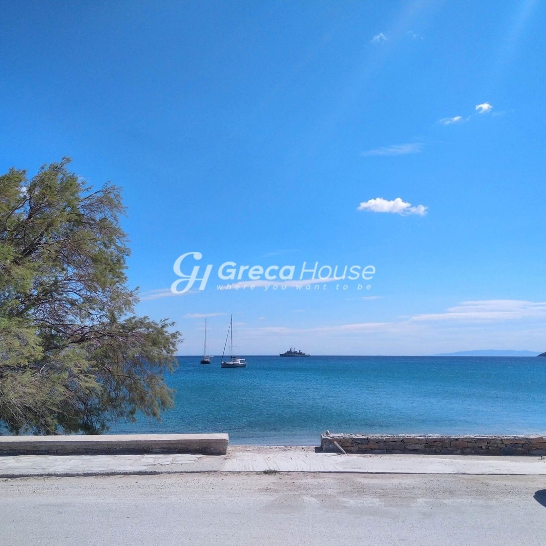 Land in Euboea, Thessaly and Central Greece, Greece 1 - 15214850