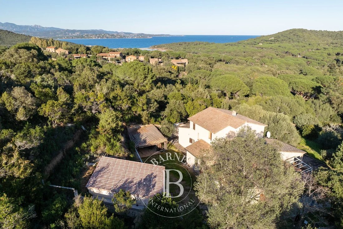 Estate in Porto-Vecchio, Corsica, France 3 - 15214816