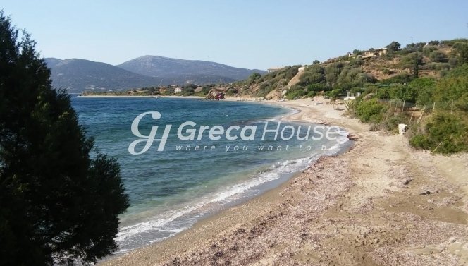 Land in Styra Municipal Unit, Thessaly and Central Greece, Greece 1 - 15214832