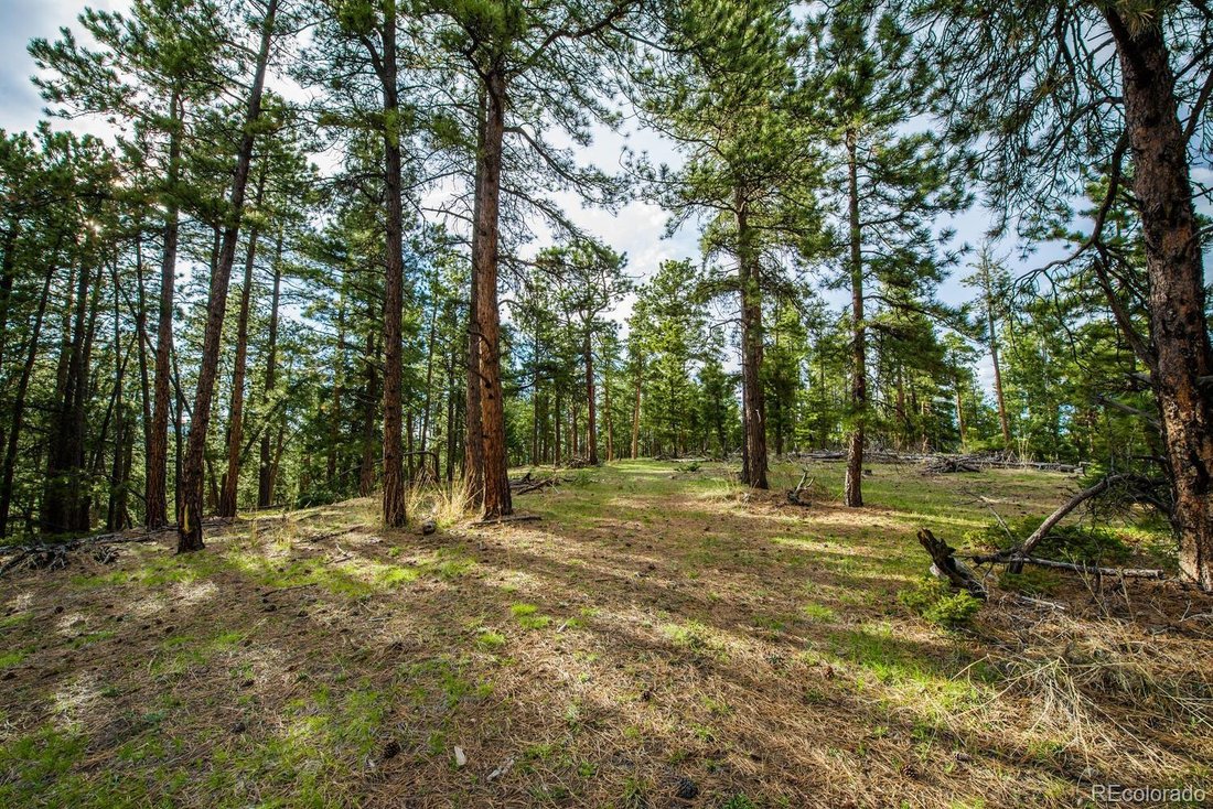 Land in Conifer, Colorado, United States 1 - 15214243
