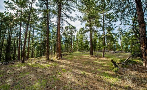 Land in Conifer, Colorado, United States 1
