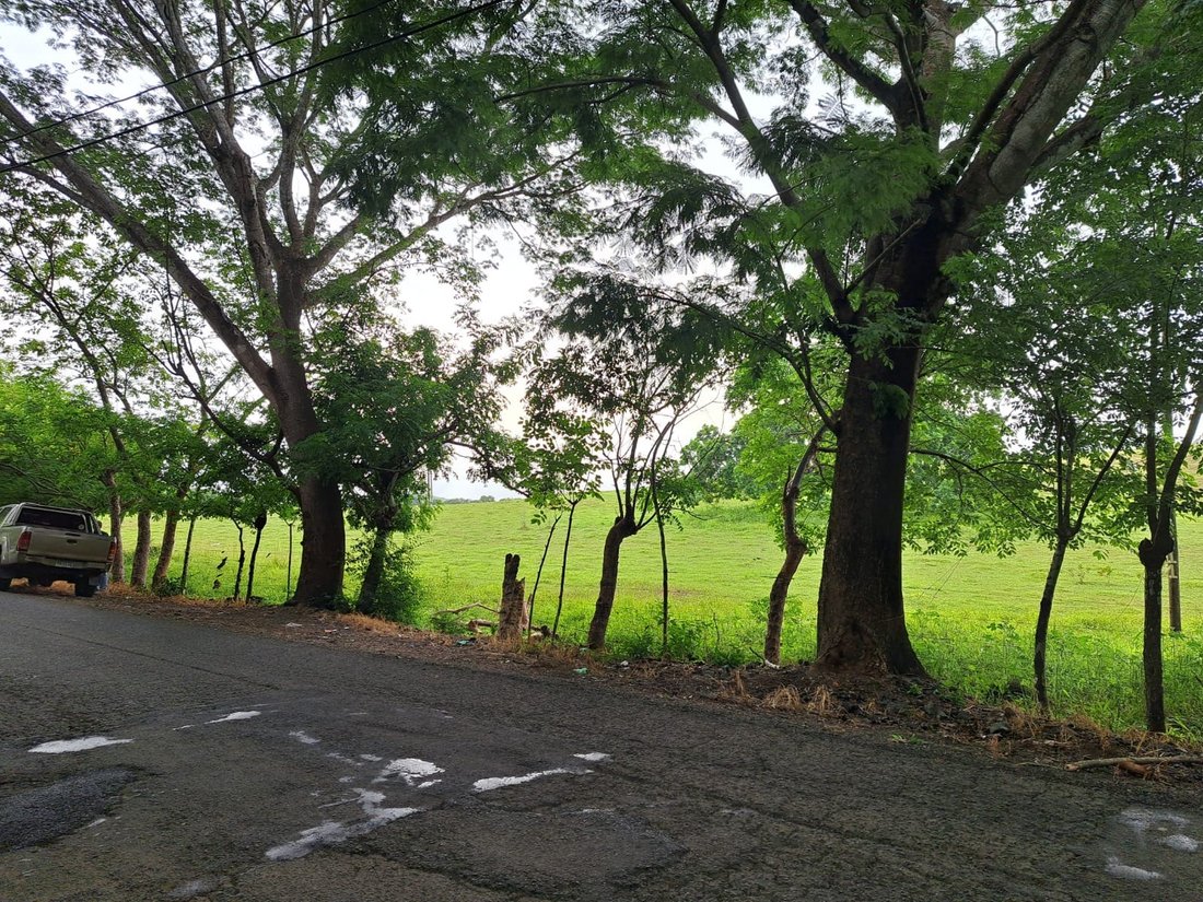Land in Pesé, Herrera Province, Panama 5 - 15216206