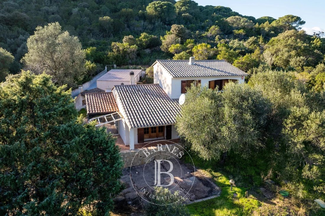 Estate in Porto-Vecchio, Corsica, France 2 - 15214816