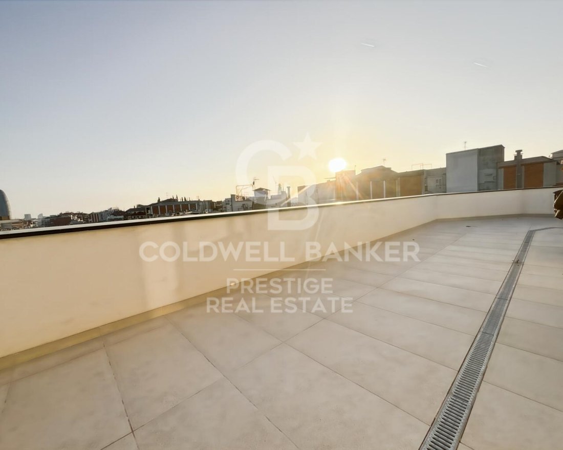 Exclusive Penthouse In Barcelona With Terraces In Barcelona, Catalonia ... - Modern Penthouse Apartment In Barcelona With Private Rooftop Garden And Views