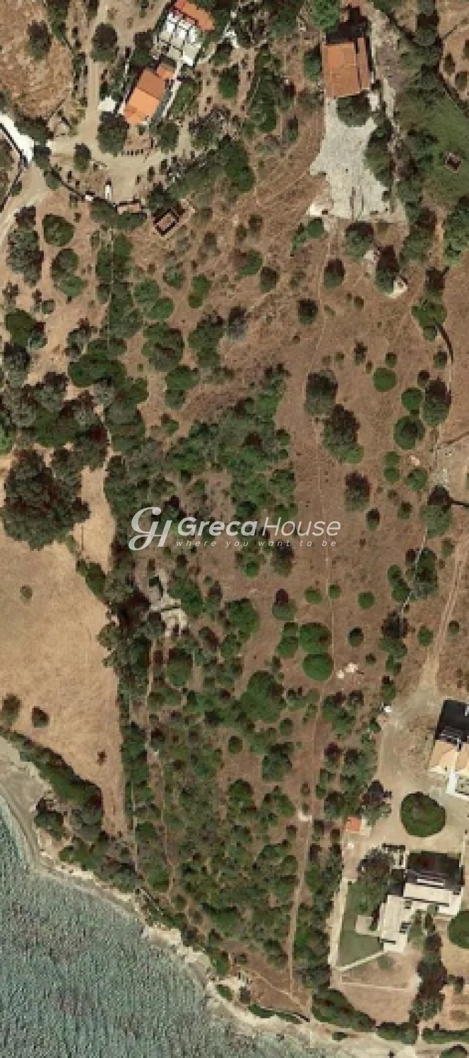 Land in Styra Municipal Unit, Thessaly and Central Greece, Greece 3 - 15214832