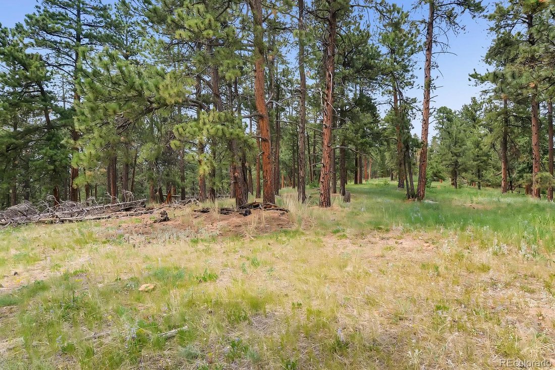 Land in Conifer, Colorado, United States 4 - 15214243